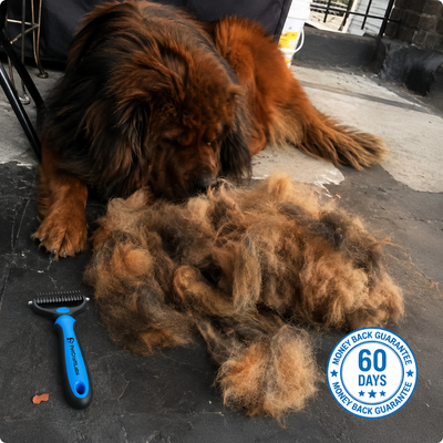 Shed Away Pro® - Dog Grooming Tool